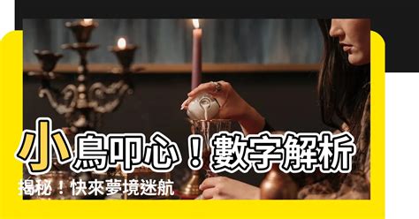 小鳥代表幾號|【鳥代表數字】揭密鳥代表數字的秘密：飛羽傳遞的神秘符號